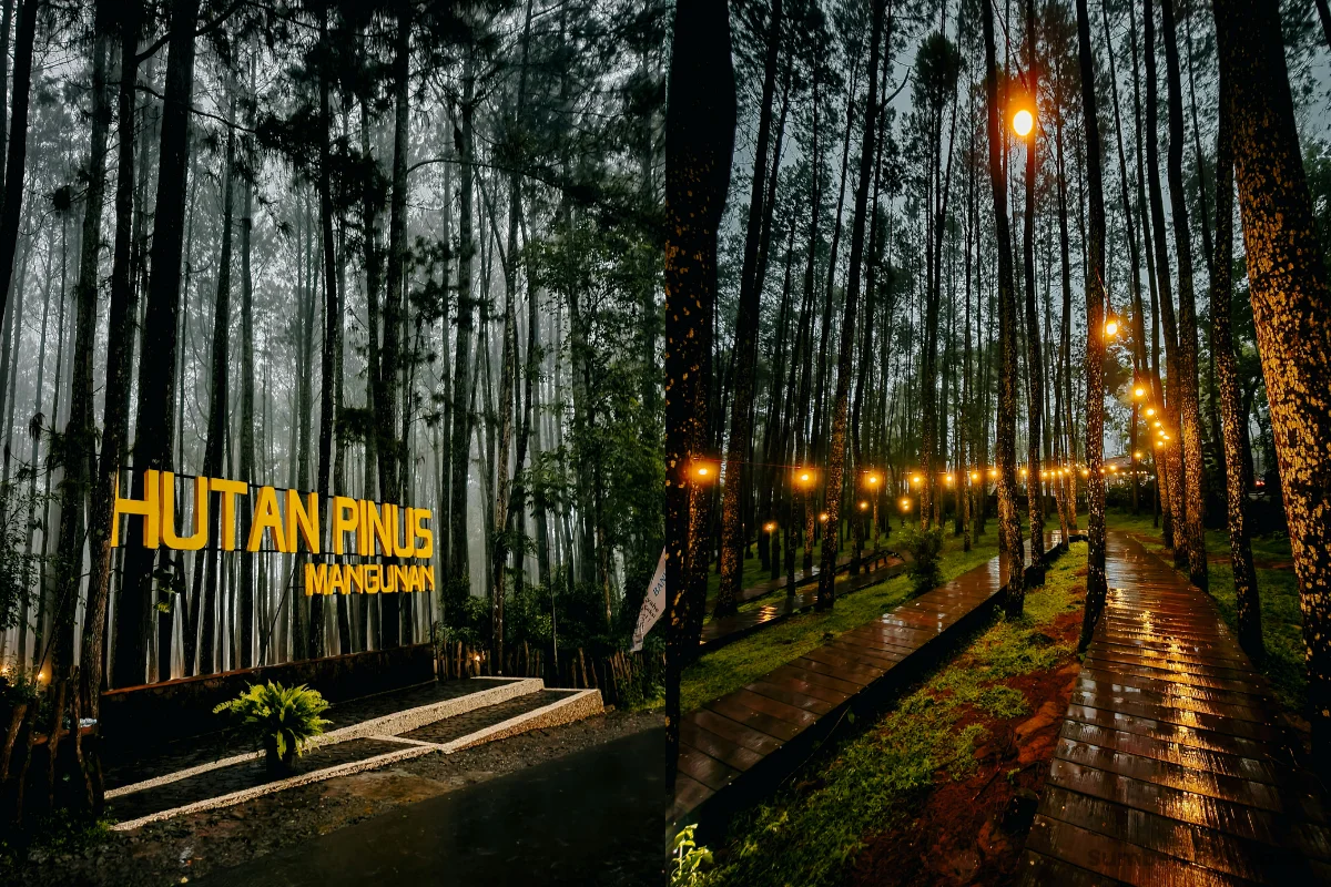 Prewedding Hutan Pinus Mangunan